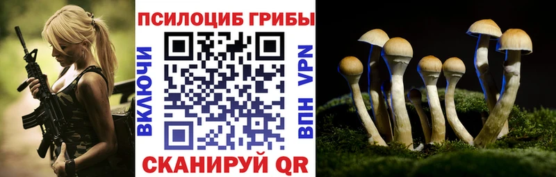 где продают наркотики KRAKEN ссылки Галлюциногенные грибы Magic Shrooms Троицк